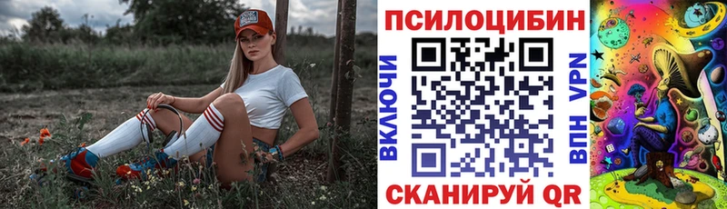 blacksprut как войти  Красноярск  Псилоцибиновые грибы мицелий 
